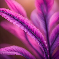Fototapeta premium Pink feather leaf