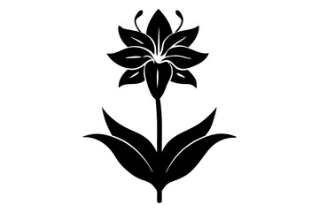 Montbretia Silhouette on vector illustration with white background.