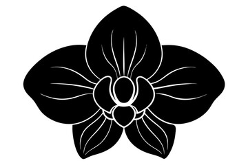 Orchid Silhouette on vector illustration with white background.