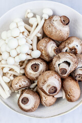 Orecchiette with mushrooms