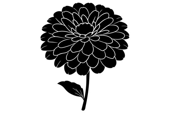 black and white flower on white background clip art preview