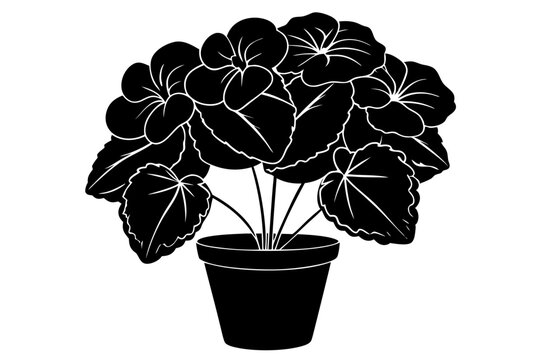 black and white potted plant silhouette clip art preview