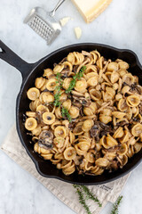 Orecchiette with mushrooms