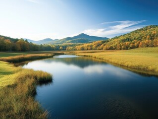 Tranquil Lake in Diverse Forest: Conservation of Natural Resources