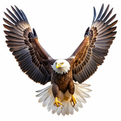 Obraz premium a stunning birds eye view of a bald eagle captured