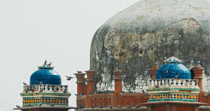 New Delhi, Delhi, India. Doves birds sitting on Babur's Tomb near The Humayun's tomb. Famous place is Tomb of Mughal emperor, Mirza Nasir al-Din Muhammad commonly known as Humayun situated in Delhi