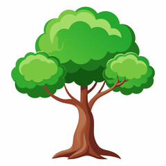 Beautiful tree Realistic on a white background.