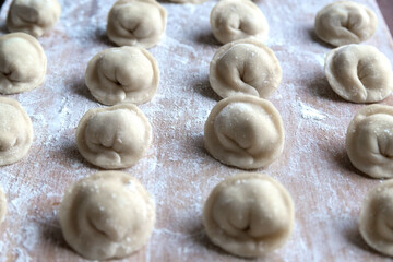 The raw dumplings were placed on a wooden cooking board, sprinkled with flour. The filling is minced meat, potatoes, cheese or cottage cheese. A semi-finished product, ready for cooking.