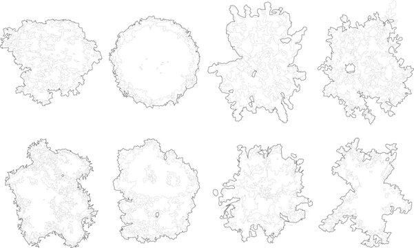 Tree plan outline silhouettes - top view 5