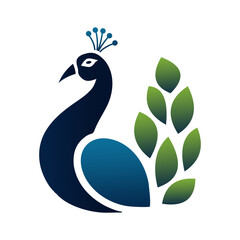 peacock feather vector illustration