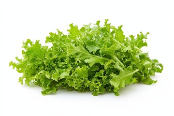Fototapeta premium A mound of fresh, leafy green lettuce on a white background, ideal for salads and garnishes.