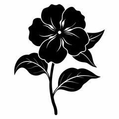 Impatiens flower Black silhouette