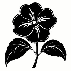 Impatiens flower Black silhouette