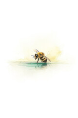 A beautiful illustration of a bee perched on a delicate surface, showcasing nature's pollinator in vibrant detail.