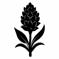 Hyacinth flower Black silhouette