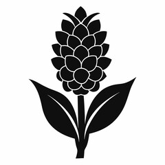 Hyacinth flower Black silhouette