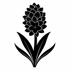 Hyacinth flower Black silhouette