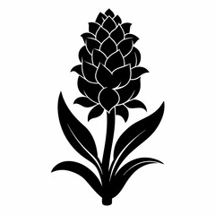 Hyacinth flower Black silhouette