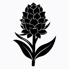 Hyacinth flower Black silhouette