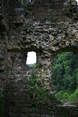 Vestige du château d'Argental