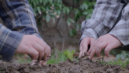 Boy planting a new tree, concept Save the Earth, save the world, save planet, ecology concept.photo