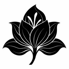 Hosta flower Black silhouette