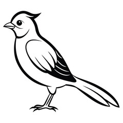 Black bird vector art illustration