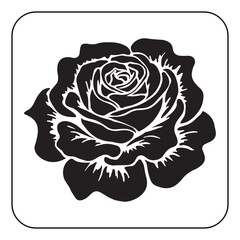 Vintage Flower Design with Classic Botanical Illustrations