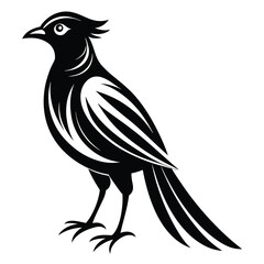 Black bird vector art illustration