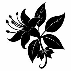 Honeysuckle flower Black silhouette