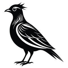 Black bird vector art illustration
