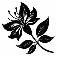 Honeysuckle flower Black silhouette