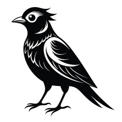 Black bird vector art illustration