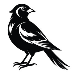 Black bird vector art illustration