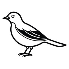 Fototapeta premium Black bird vector art illustration