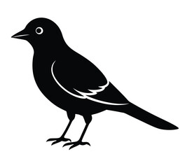 Black bird vector art illustration