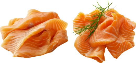 salmon isolated on white background