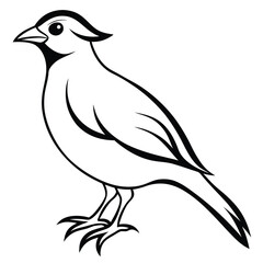 Black bird vector art illustration