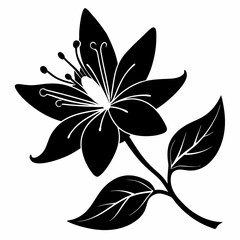Honeysuckle flower Black silhouette