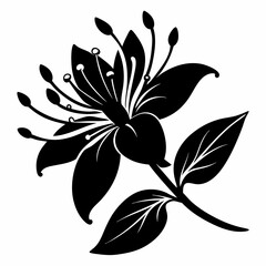 Honeysuckle flower Black silhouette