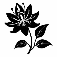 Honeysuckle flower Black silhouette