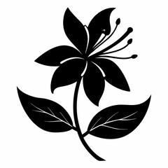 Honeysuckle flower Black silhouette