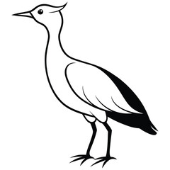 Beautiful Bird vector art Illustration