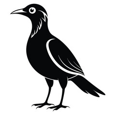 Fototapeta premium Beautiful Bird vector art Illustration