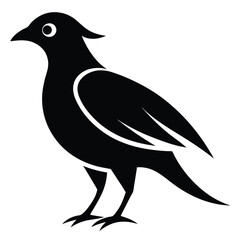 Beautiful Bird vector art Illustration