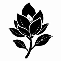 Magnolia flower Black silhouette