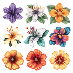 A set of beautiful flowers clip art vector white background