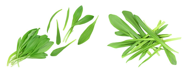 Ramson leaves isolated on white background full depth of field, Top view. Flat lay