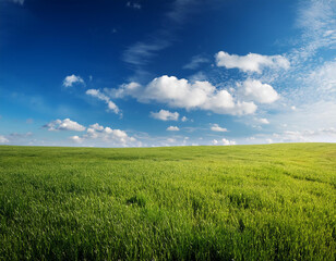 爽やかな青空と美しい緑の草原