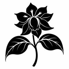 Balsam flower Black silhouette